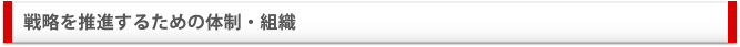 戦略を推進するための体制・組織